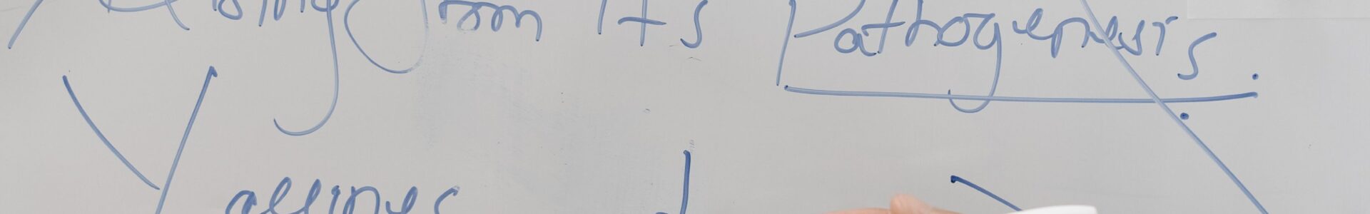 Hands holding markers writing notes on a whiteboard about COVID-19 and vaccination.